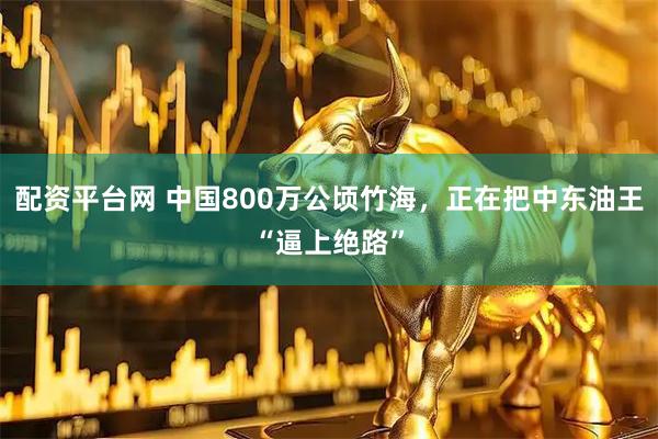 配资平台网 中国800万公顷竹海，正在把中东油王“逼上绝路”